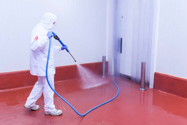 Best Patio and Deck Pressure Washing  in Cambria, IL